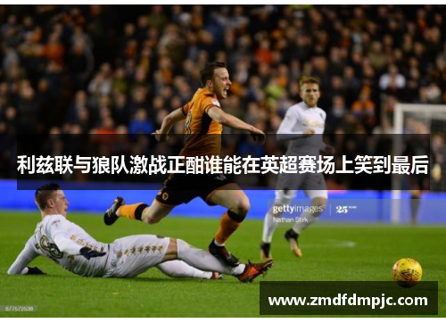 利兹联与狼队激战正酣谁能在英超赛场上笑到最后