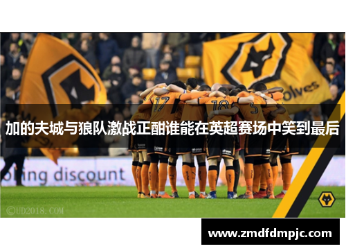 加的夫城与狼队激战正酣谁能在英超赛场中笑到最后