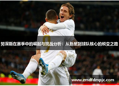 努涅斯在赛季中的崛起与挑战分析：从新星到球队核心的蜕变之路