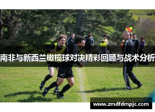 南非与新西兰橄榄球对决精彩回顾与战术分析