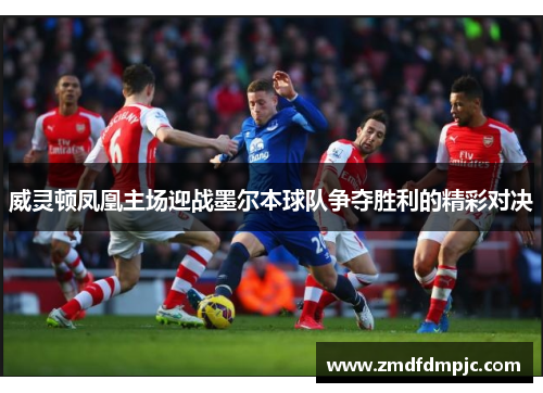 威灵顿凤凰主场迎战墨尔本球队争夺胜利的精彩对决