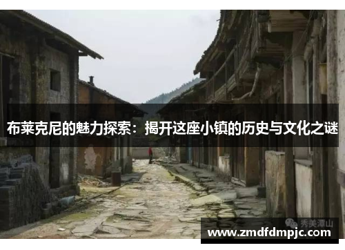 布莱克尼的魅力探索：揭开这座小镇的历史与文化之谜