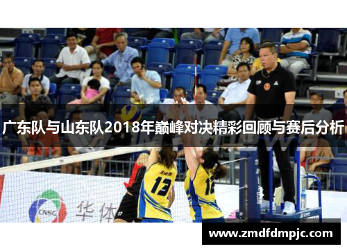 广东队与山东队2018年巅峰对决精彩回顾与赛后分析