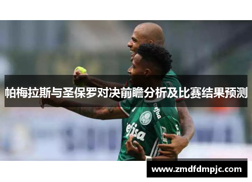 帕梅拉斯与圣保罗对决前瞻分析及比赛结果预测