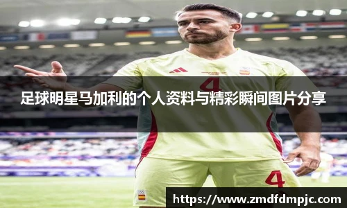 足球明星马加利的个人资料与精彩瞬间图片分享